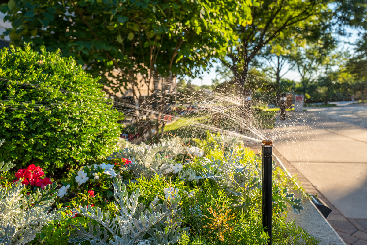 Gallery | D&H Lawn Irrigation